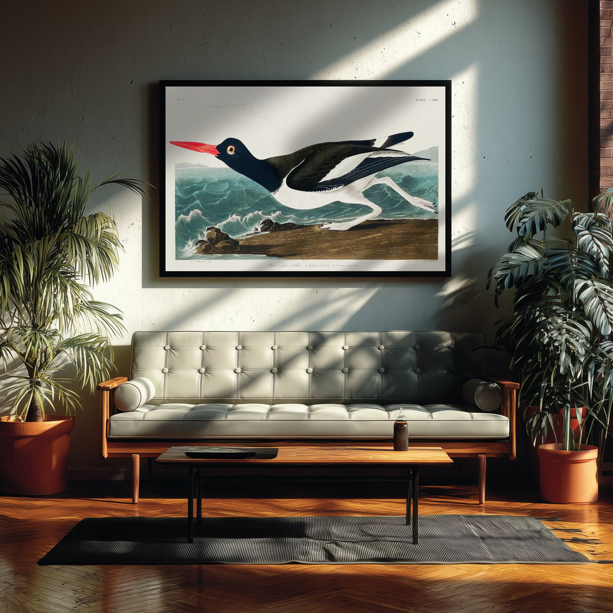 Pied Oystercatcher Art Print - John James Audubon Birds of America - Vintage Ornithology Illustration Poster