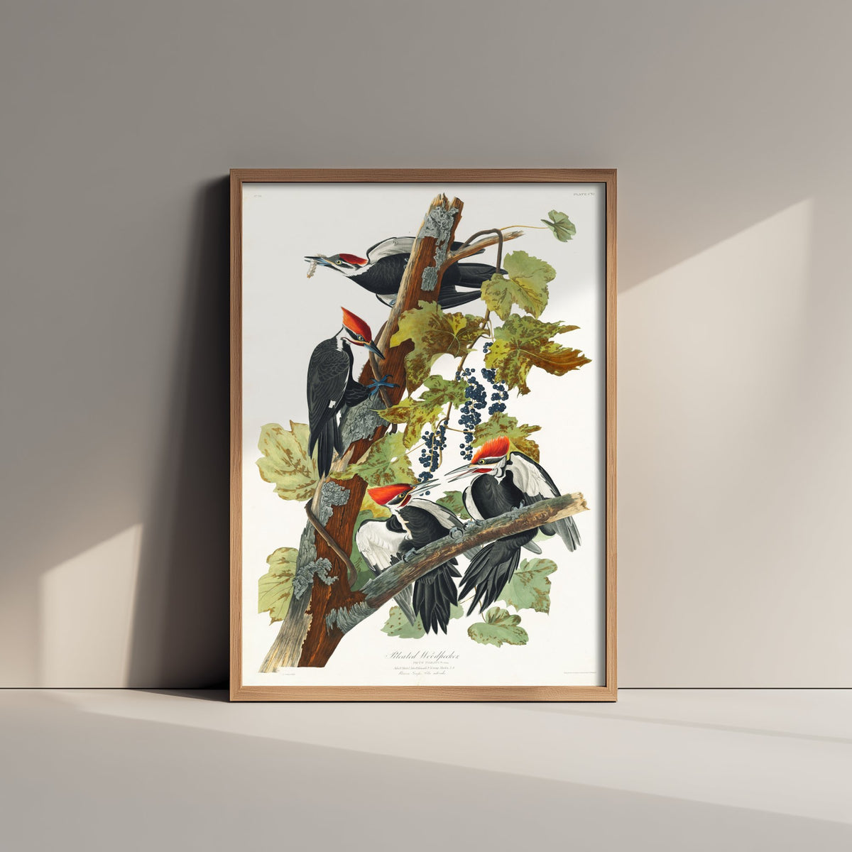 Pileated Woodpecker Art Print - John James Audubon Birds of America - Vintage Ornithology Illustration Poster