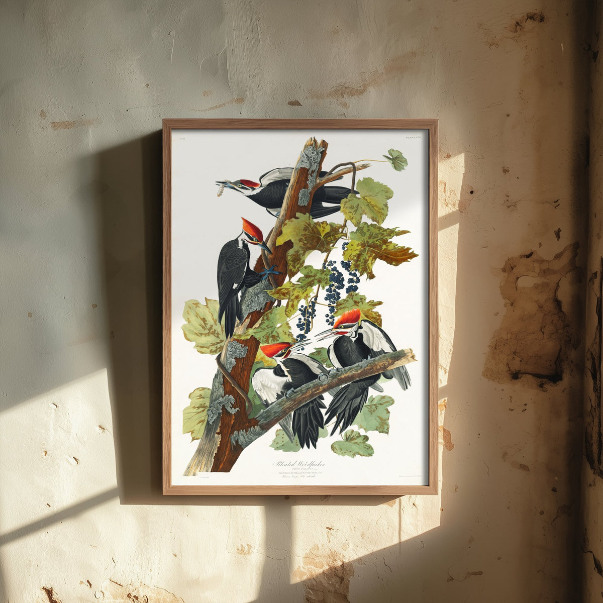 Pileated Woodpecker Art Print - John James Audubon Birds of America - Vintage Ornithology Illustration Poster