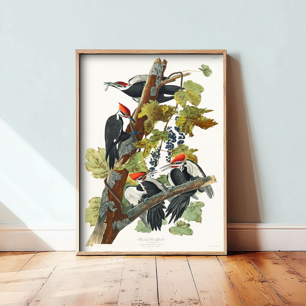 Pileated Woodpecker Art Print - John James Audubon Birds of America - Vintage Ornithology Illustration Poster