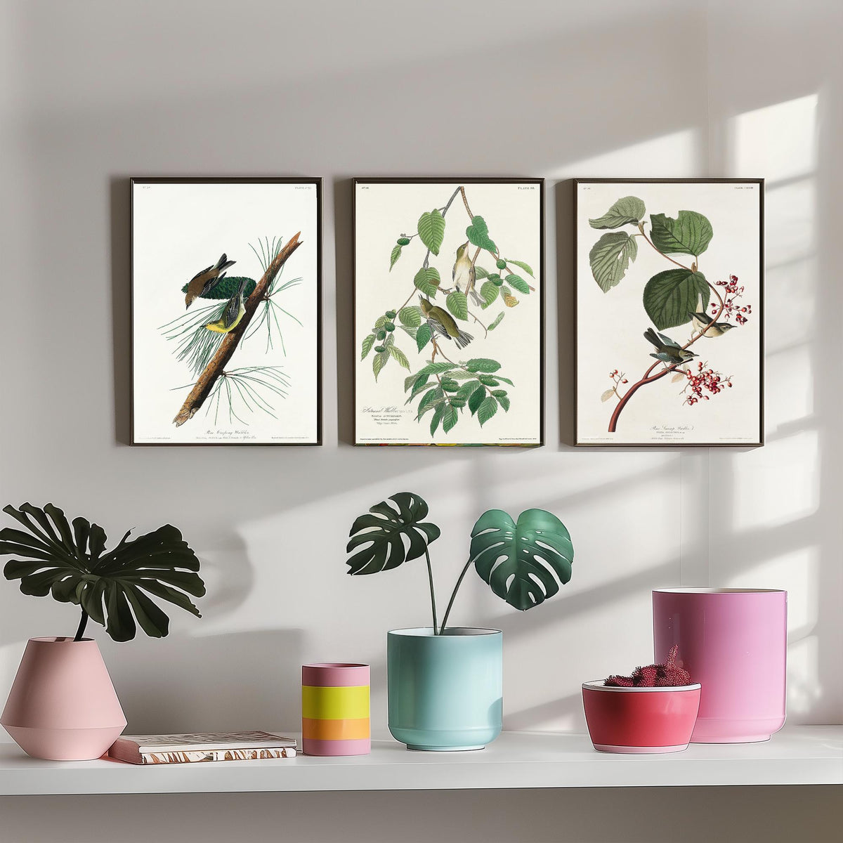 Set of Three John James Audubon Prints - Pine Creeping Warbler Autumnal Warbler Pine Swamp Warbler - 3 Bird Paintings Poster Wall Art