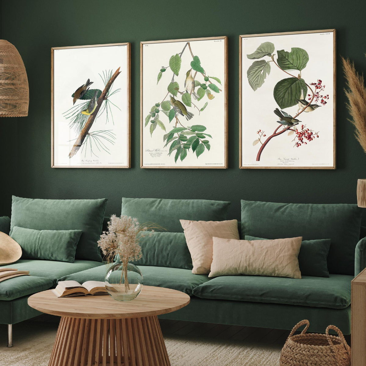 Set of Three John James Audubon Prints - Pine Creeping Warbler Autumnal Warbler Pine Swamp Warbler - 3 Bird Paintings Poster Wall Art