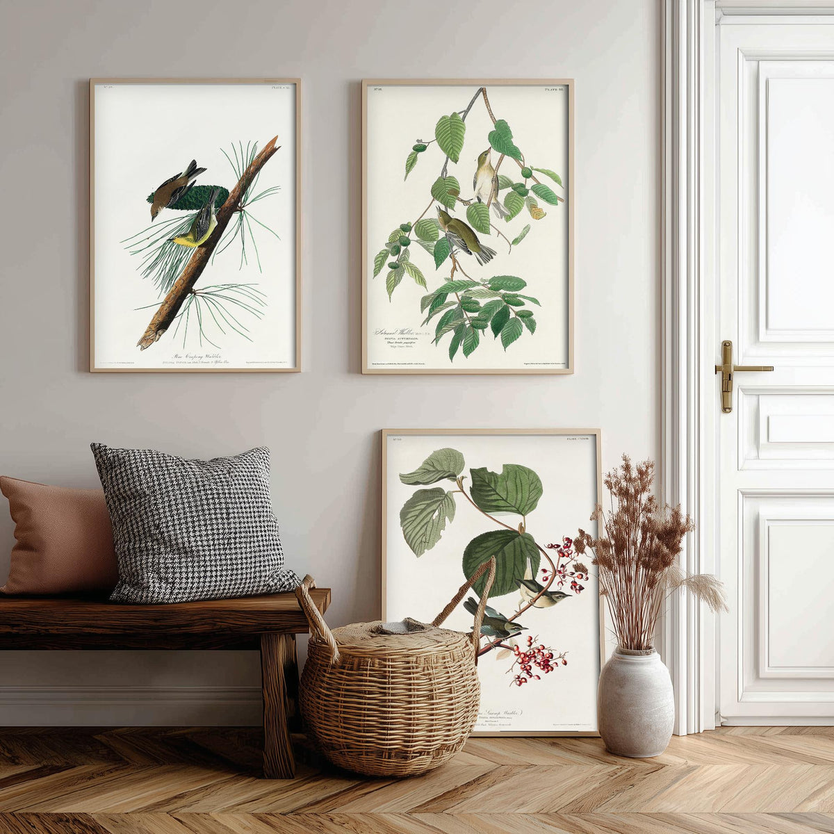 Set of Three John James Audubon Prints - Pine Creeping Warbler Autumnal Warbler Pine Swamp Warbler - 3 Bird Paintings Poster Wall Art