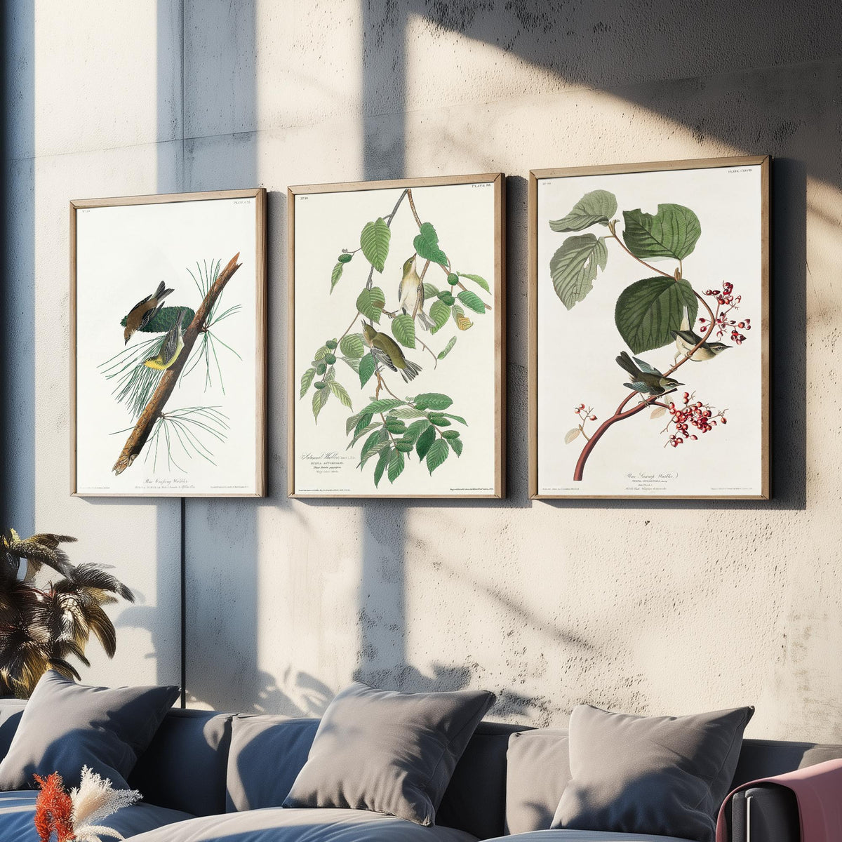 Set of Three John James Audubon Prints - Pine Creeping Warbler Autumnal Warbler Pine Swamp Warbler - 3 Bird Paintings Poster Wall Art