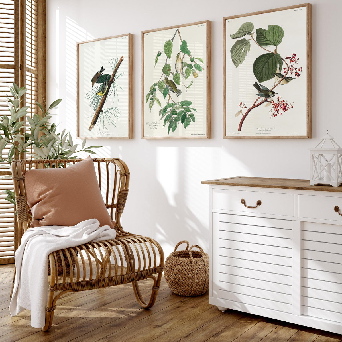 Set of Three John James Audubon Prints - Pine Creeping Warbler Autumnal Warbler Pine Swamp Warbler - 3 Bird Paintings Poster Wall Art