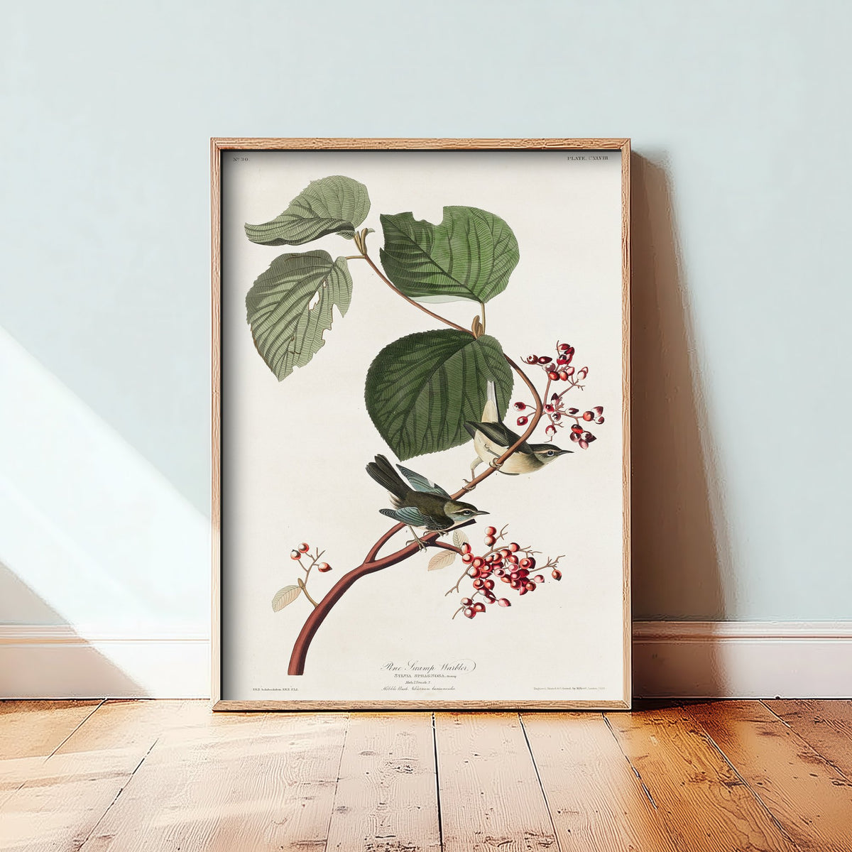 Pine Swamp Warbler Art Print - John James Audubon Birds of America - Vintage Ornithology Illustration Poster