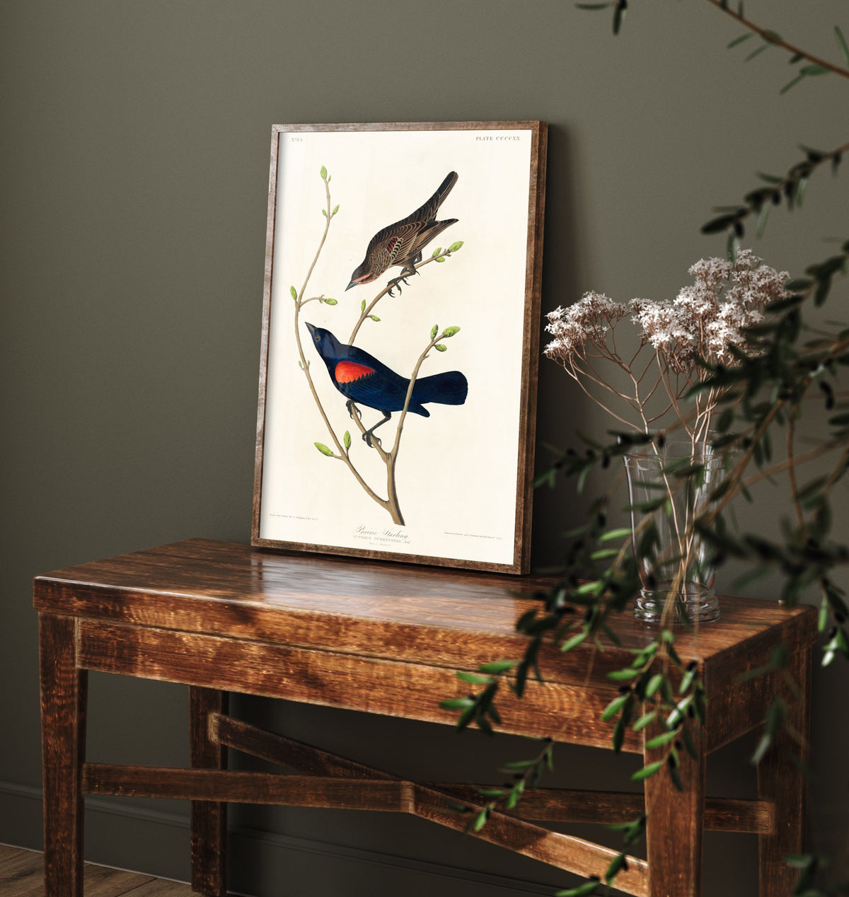 Prairie Starling Art Print - John James Audubon Birds of America - Vintage Ornithology Illustration Poster
