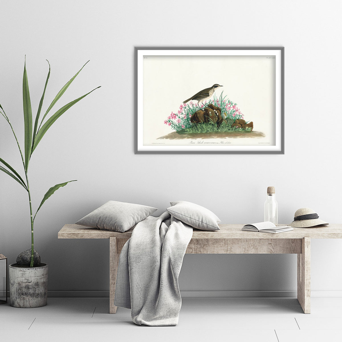 Prairie Titlark Art Print - John James Audubon Birds of America - Vintage Ornithology Illustration Poster
