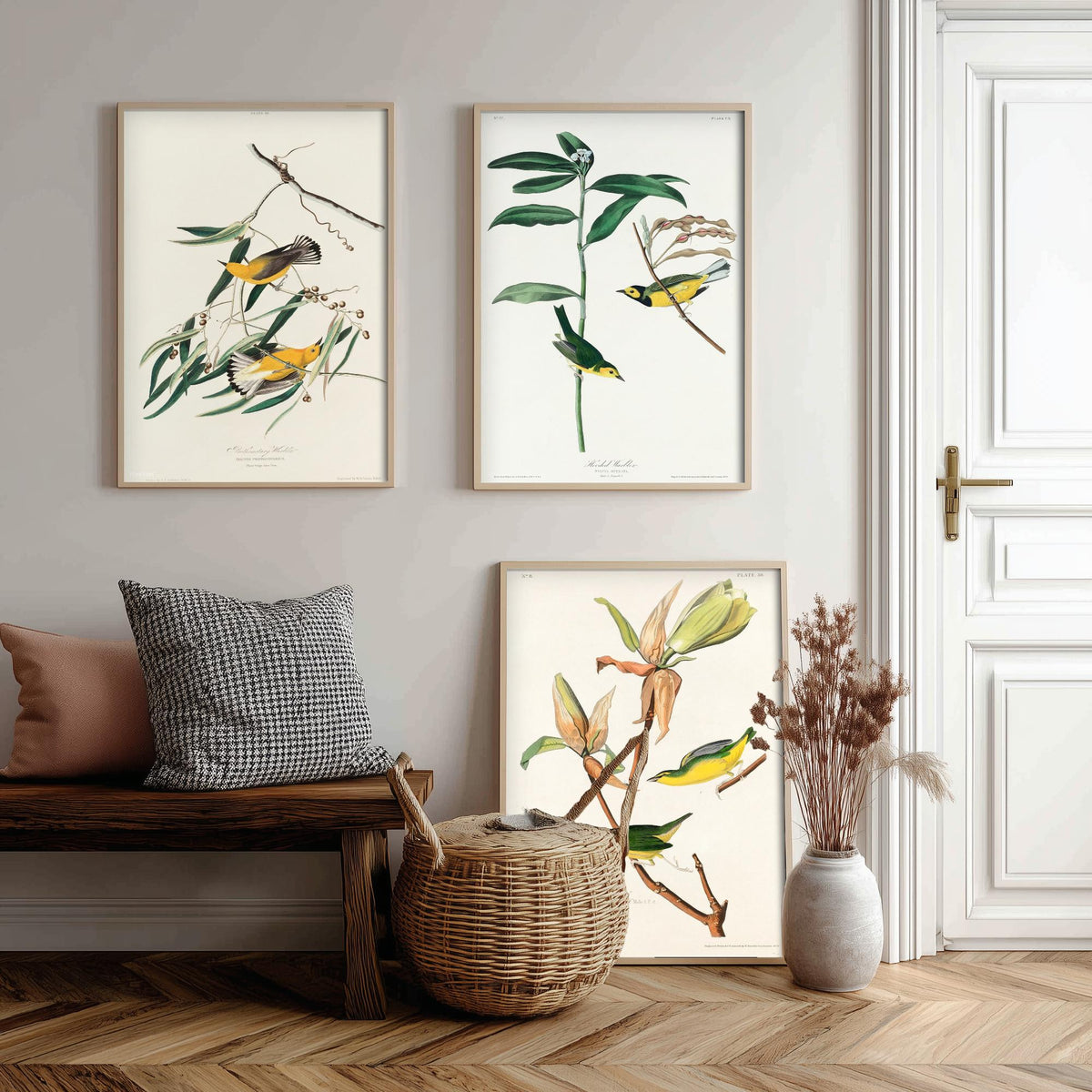 Set of Three John James Audubon Prints - Prothonotary Warbler Hooded Warbler Kentucky Warbler - 3 Bird Paintings Poster Wall Art Gift