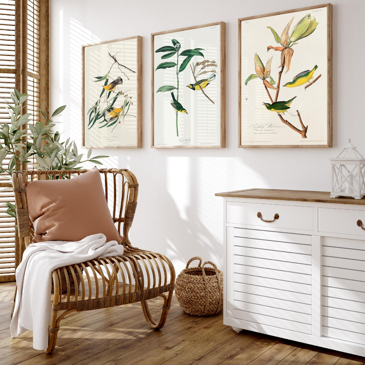 Set of Three John James Audubon Prints - Prothonotary Warbler Hooded Warbler Kentucky Warbler - 3 Bird Paintings Poster Wall Art Gift