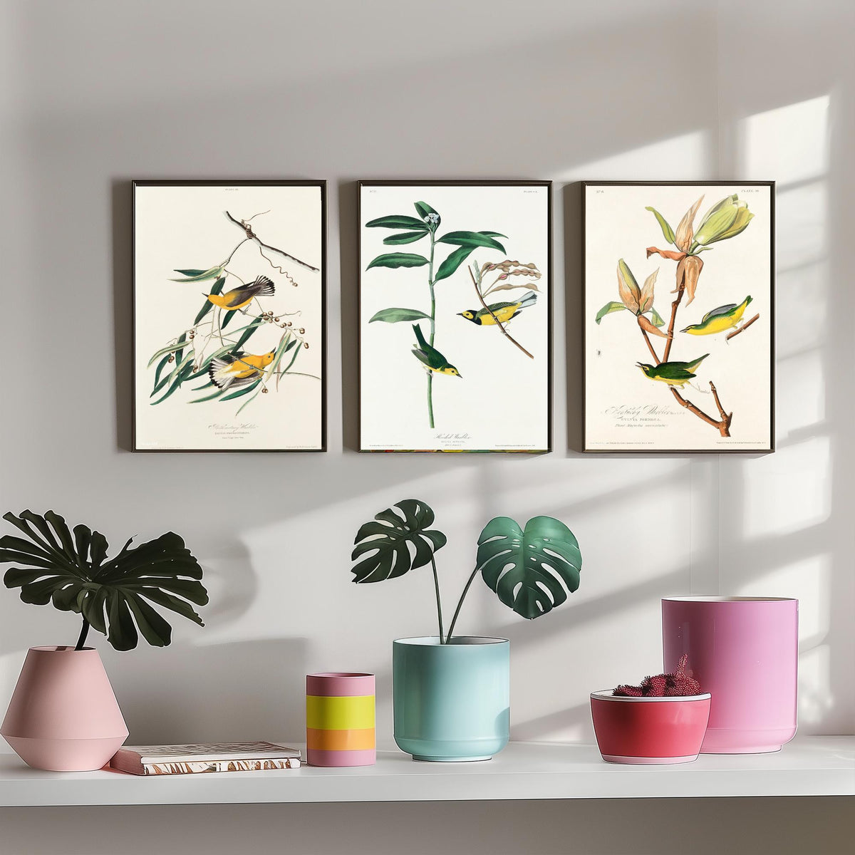 Set of Three John James Audubon Prints - Prothonotary Warbler Hooded Warbler Kentucky Warbler - 3 Bird Paintings Poster Wall Art Gift