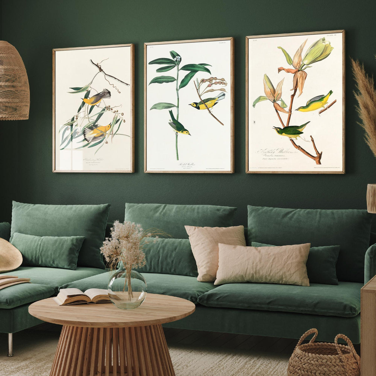 Set of Three John James Audubon Prints - Prothonotary Warbler Hooded Warbler Kentucky Warbler - 3 Bird Paintings Poster Wall Art Gift