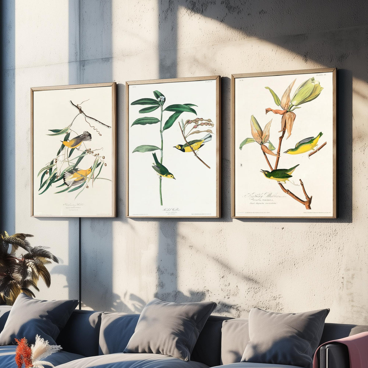Set of Three John James Audubon Prints - Prothonotary Warbler Hooded Warbler Kentucky Warbler - 3 Bird Paintings Poster Wall Art Gift