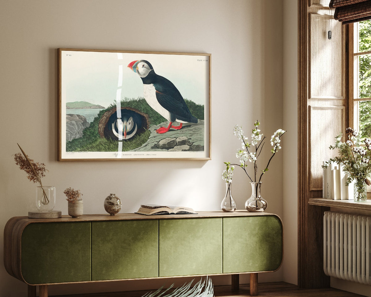 Atlantic Puffin Art Print - John James Audubon Poster - Birds of America Vintage Illustration