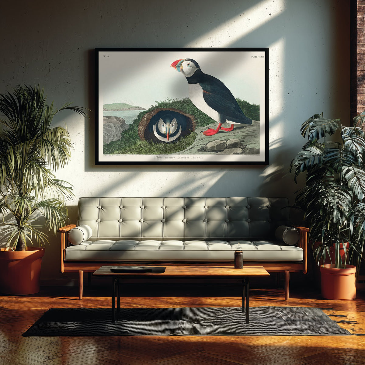 Atlantic Puffin Art Print - John James Audubon Poster - Birds of America Vintage Illustration