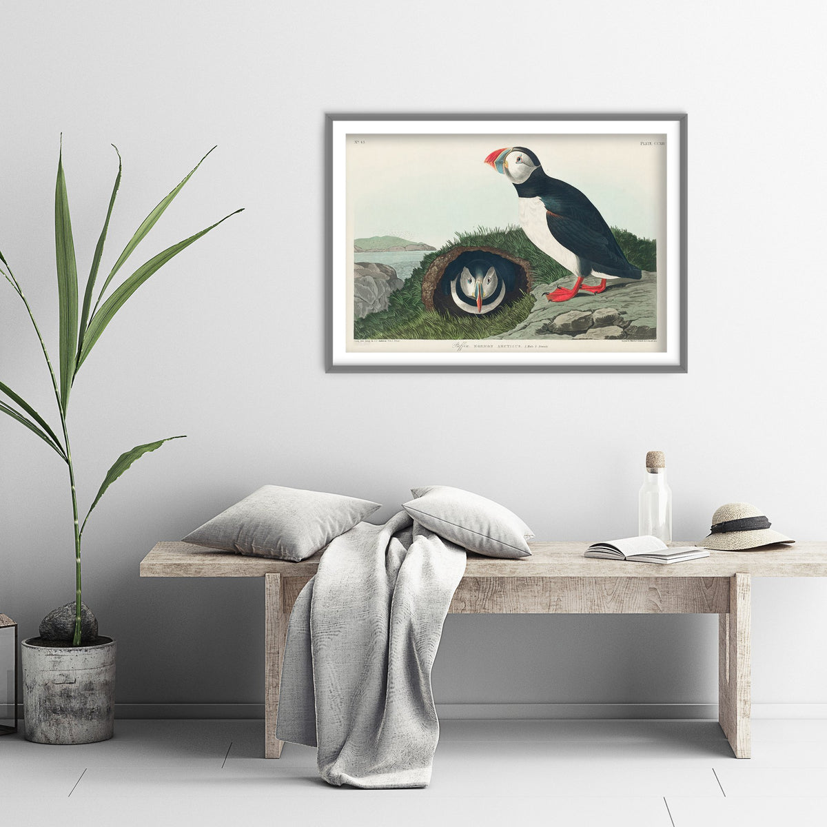 Atlantic Puffin Art Print - John James Audubon Poster - Birds of America Vintage Illustration