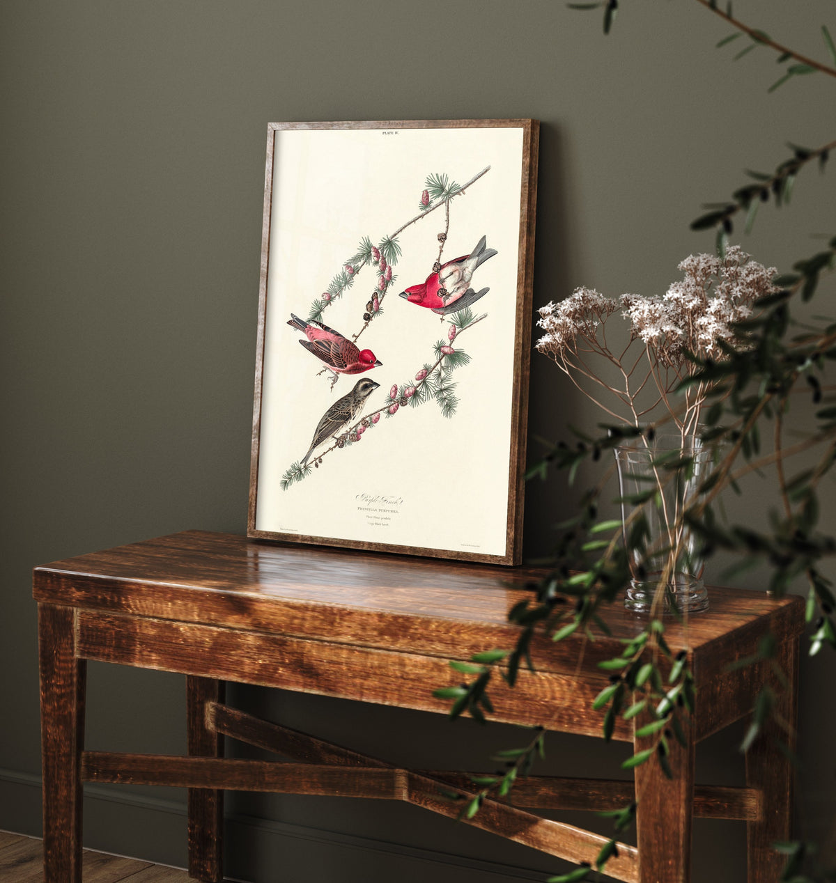 Purple Finch Art Print - John James Audubon Poster - Birds of America Vintage Illustration