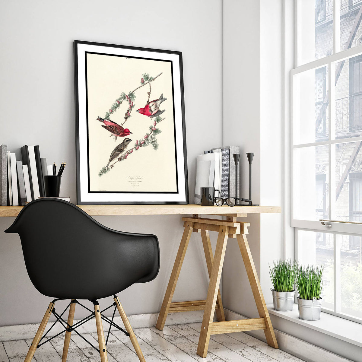 Purple Finch Art Print - John James Audubon Poster - Birds of America Vintage Illustration