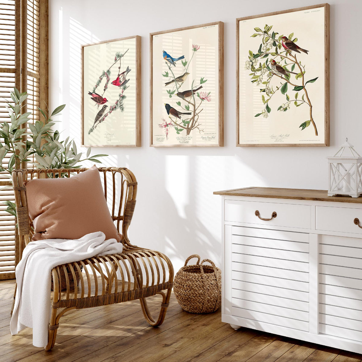 Set of Three John James Audubon Prints - Purple Finch Lazuli Finch Lesser Redpoll - 3 Bird Paintings Poster Wall Art Gift Vintage