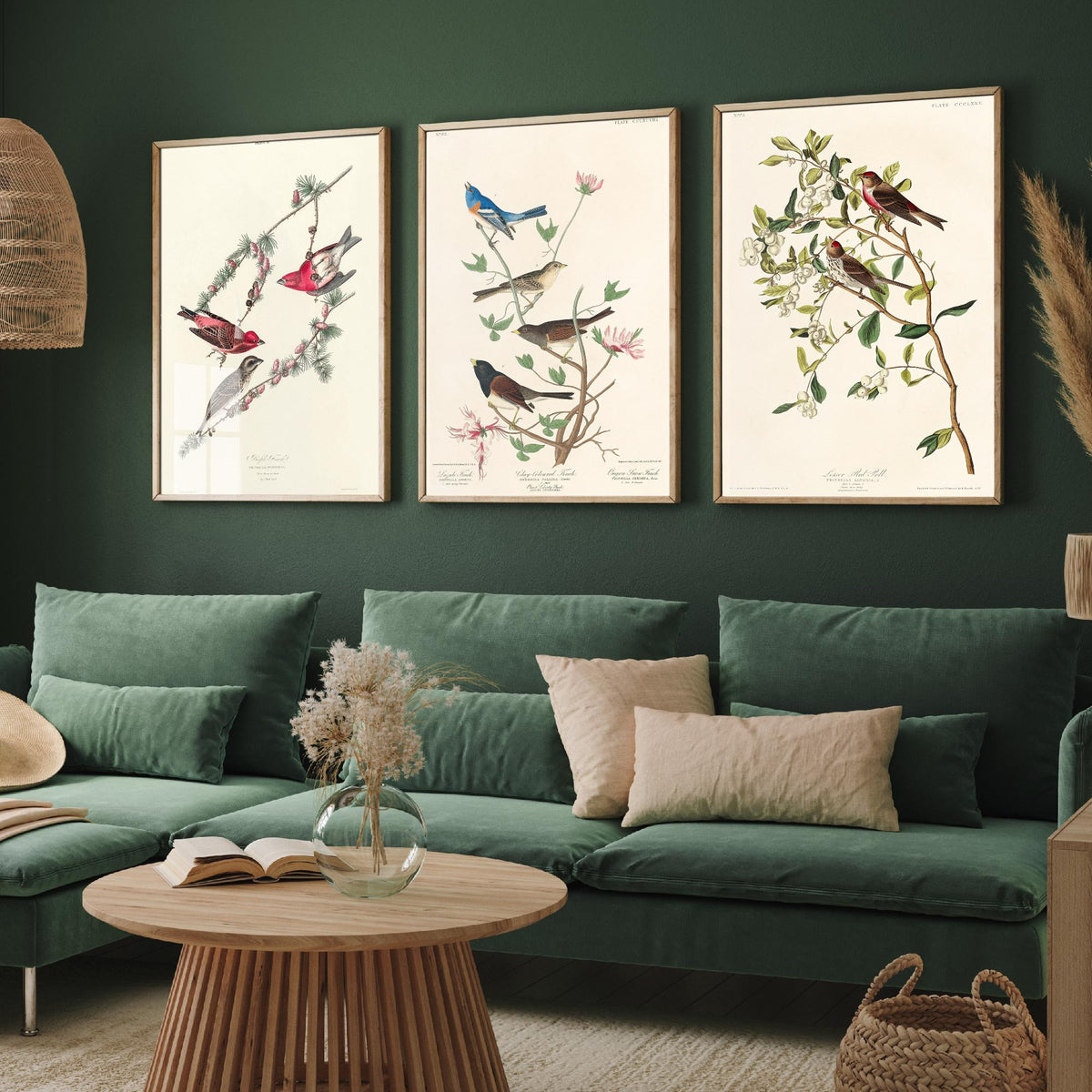 Set of Three John James Audubon Prints - Purple Finch Lazuli Finch Lesser Redpoll - 3 Bird Paintings Poster Wall Art Gift Vintage