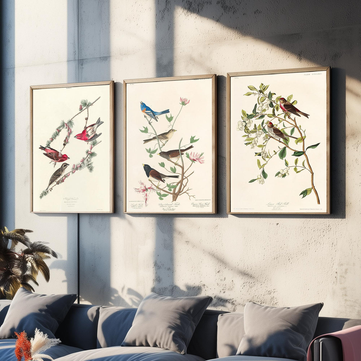 Set of Three John James Audubon Prints - Purple Finch Lazuli Finch Lesser Redpoll - 3 Bird Paintings Poster Wall Art Gift Vintage