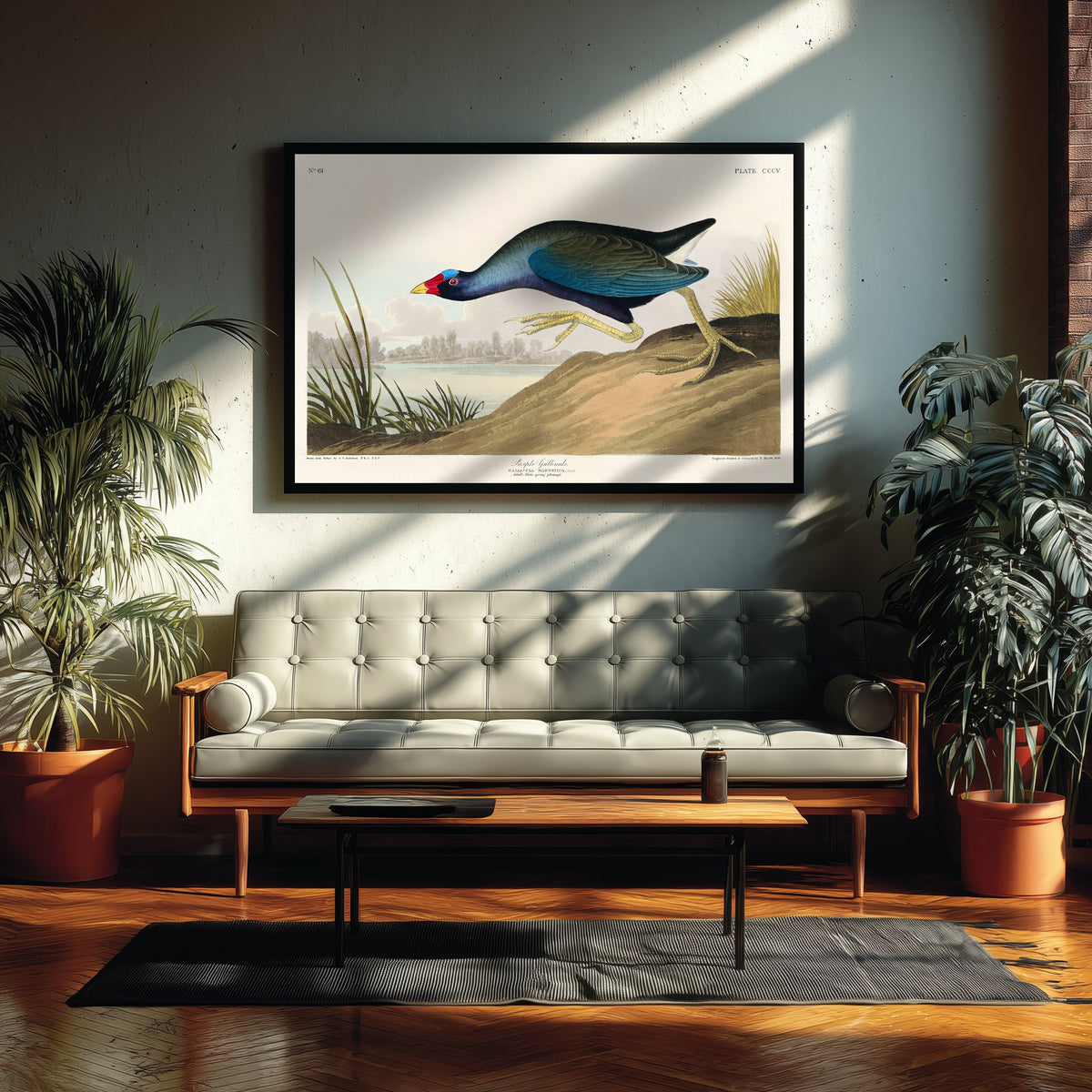 Purple Gallinule Art Print - John James Audubon Poster - Birds of America Vintage Illustration