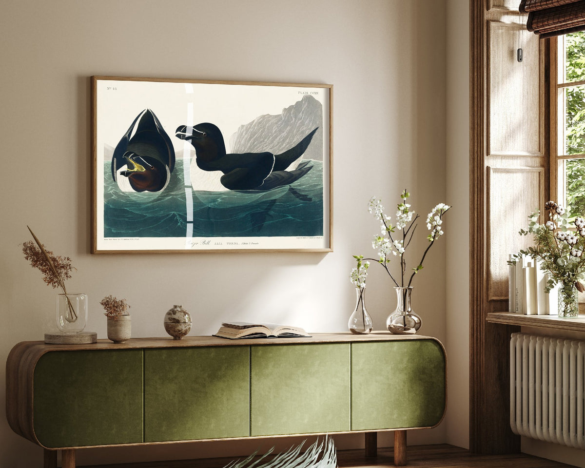 Razorbill Art Print - John James Audubon Poster - Birds of America Vintage Illustration