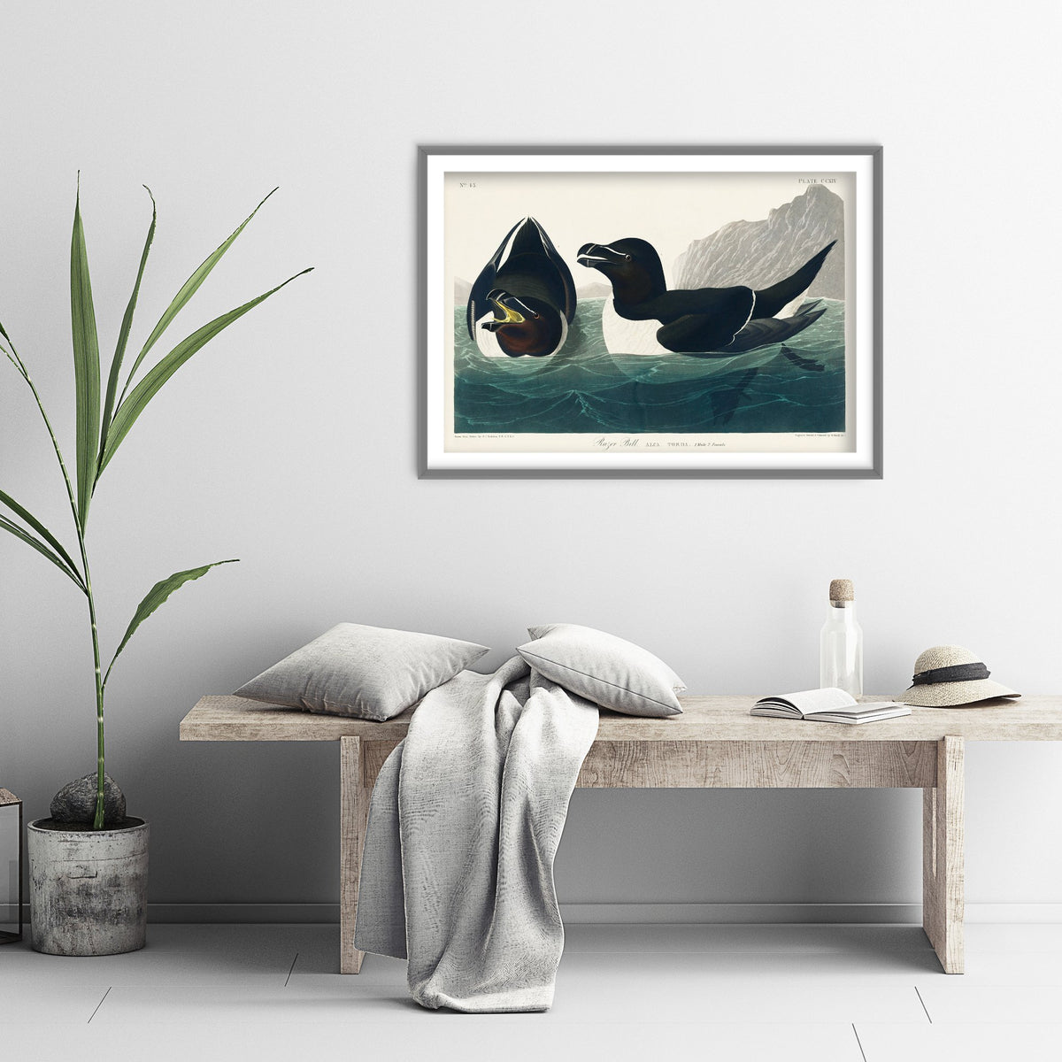 Razorbill Art Print - John James Audubon Poster - Birds of America Vintage Illustration