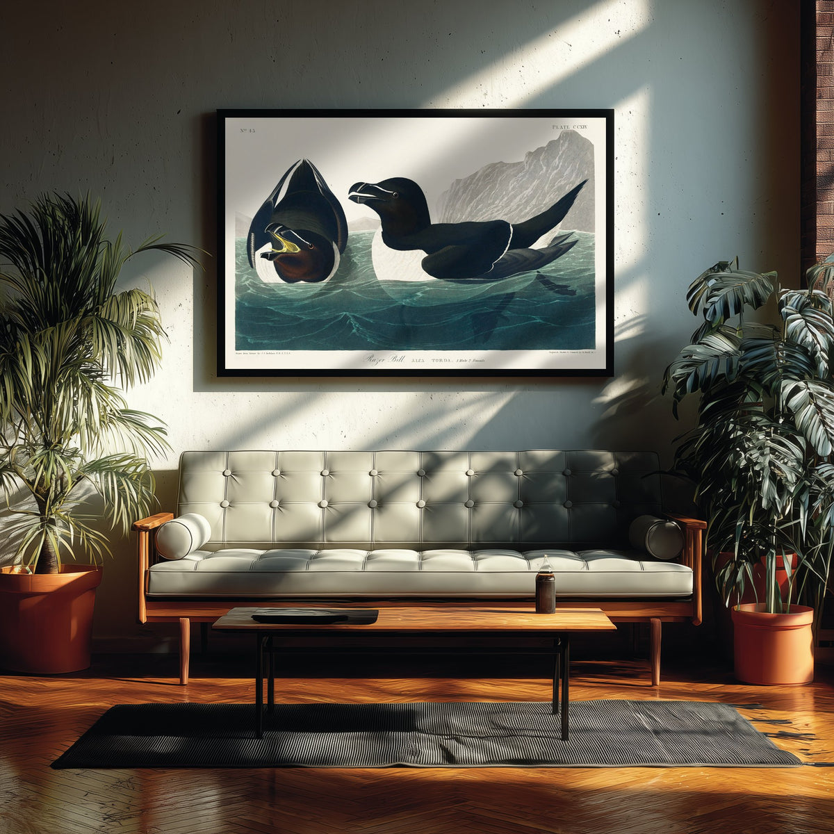 Razorbill Art Print - John James Audubon Poster - Birds of America Vintage Illustration