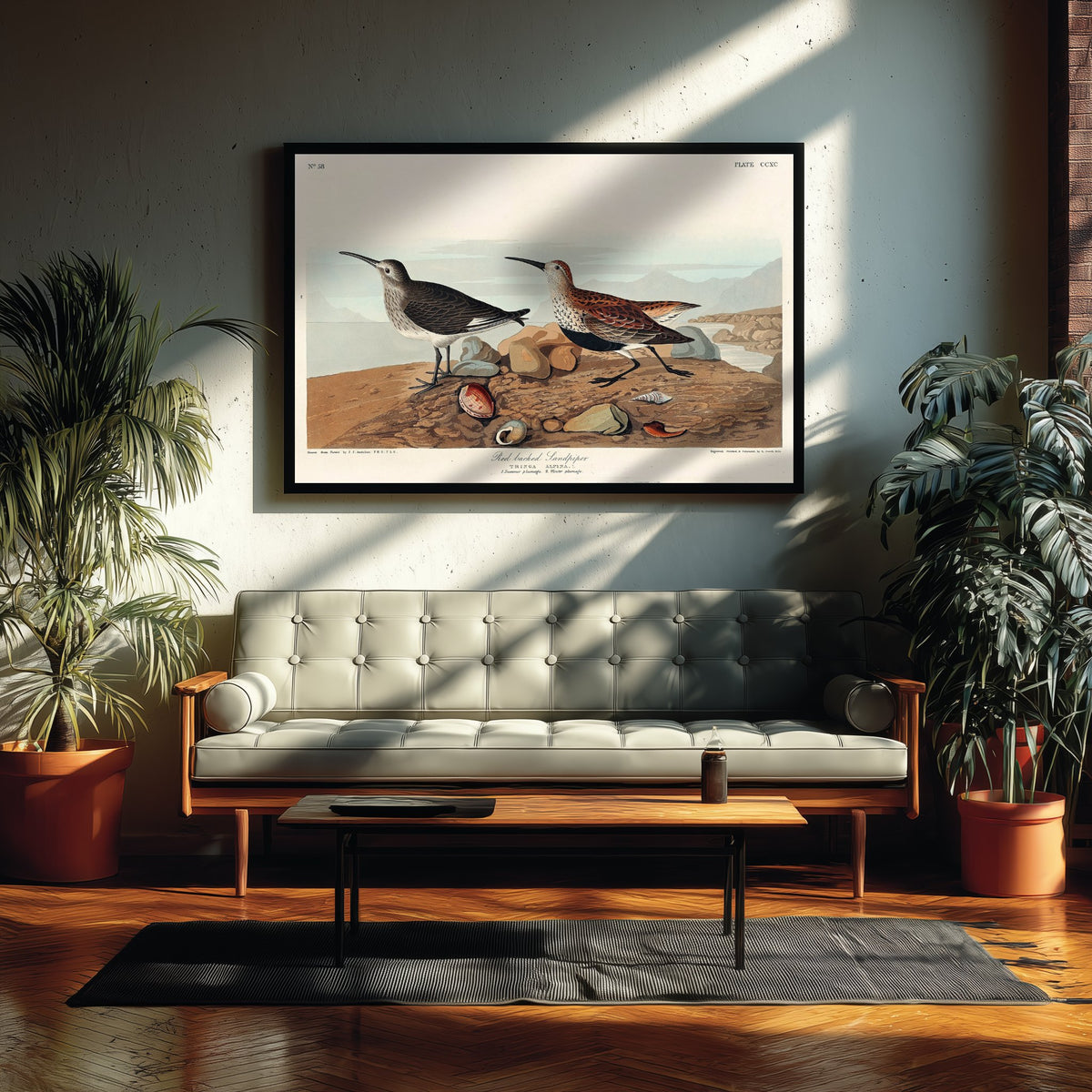 Dunlin Sandpiper Art Print - John James Audubon Poster - Birds of America Vintage Illustration