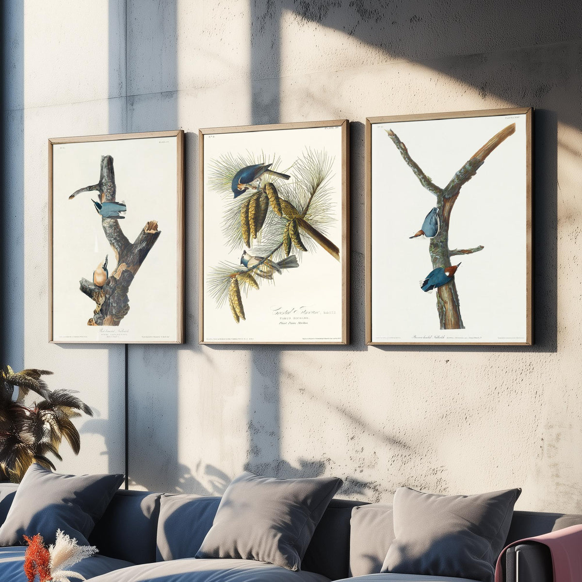 Set of Three John James Audubon Prints - Red-breasted and Brown-headed Nuthatch Crested Titmouse - 3 Bird Paintings Poster Wall Art