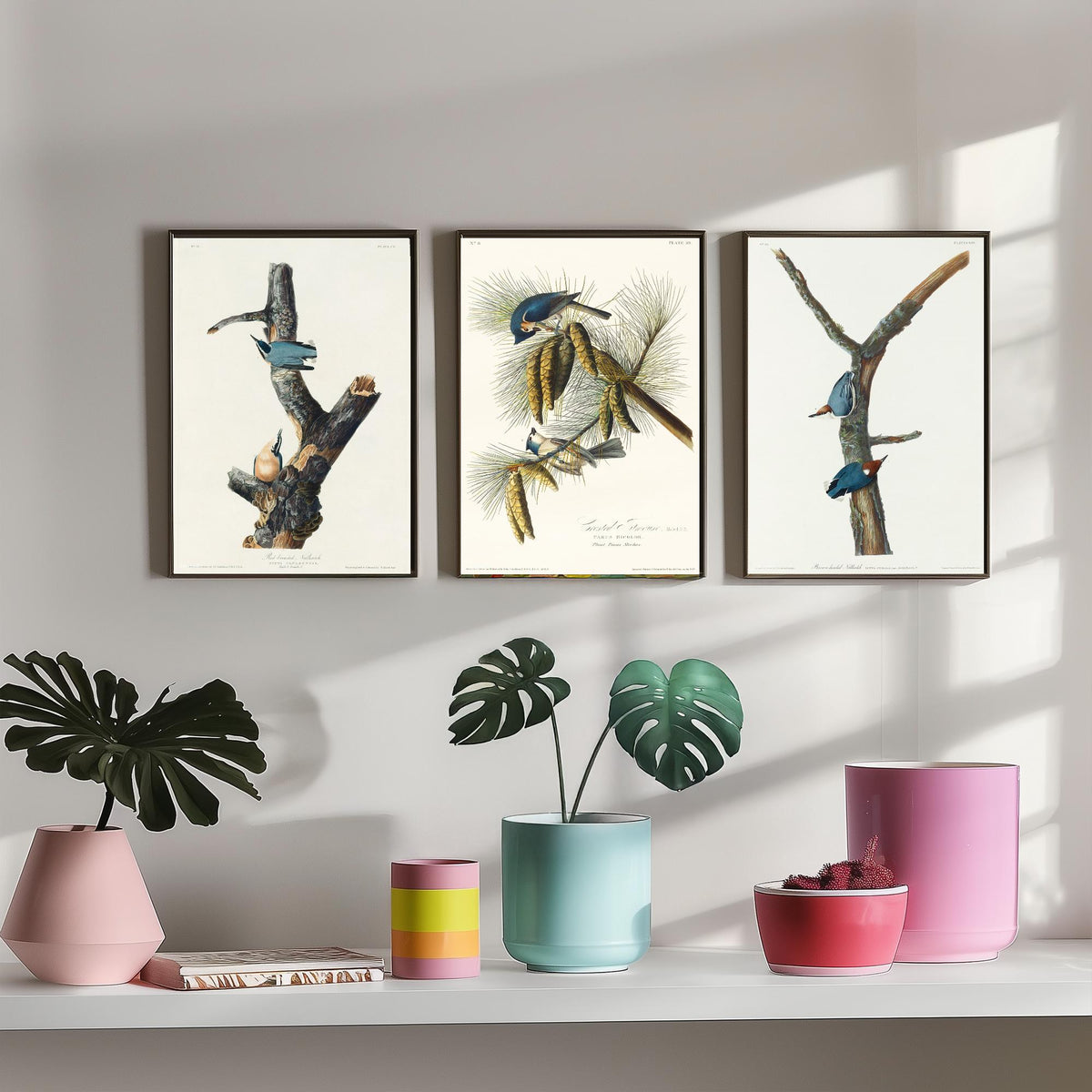 Set of Three John James Audubon Prints - Red-breasted and Brown-headed Nuthatch Crested Titmouse - 3 Bird Paintings Poster Wall Art