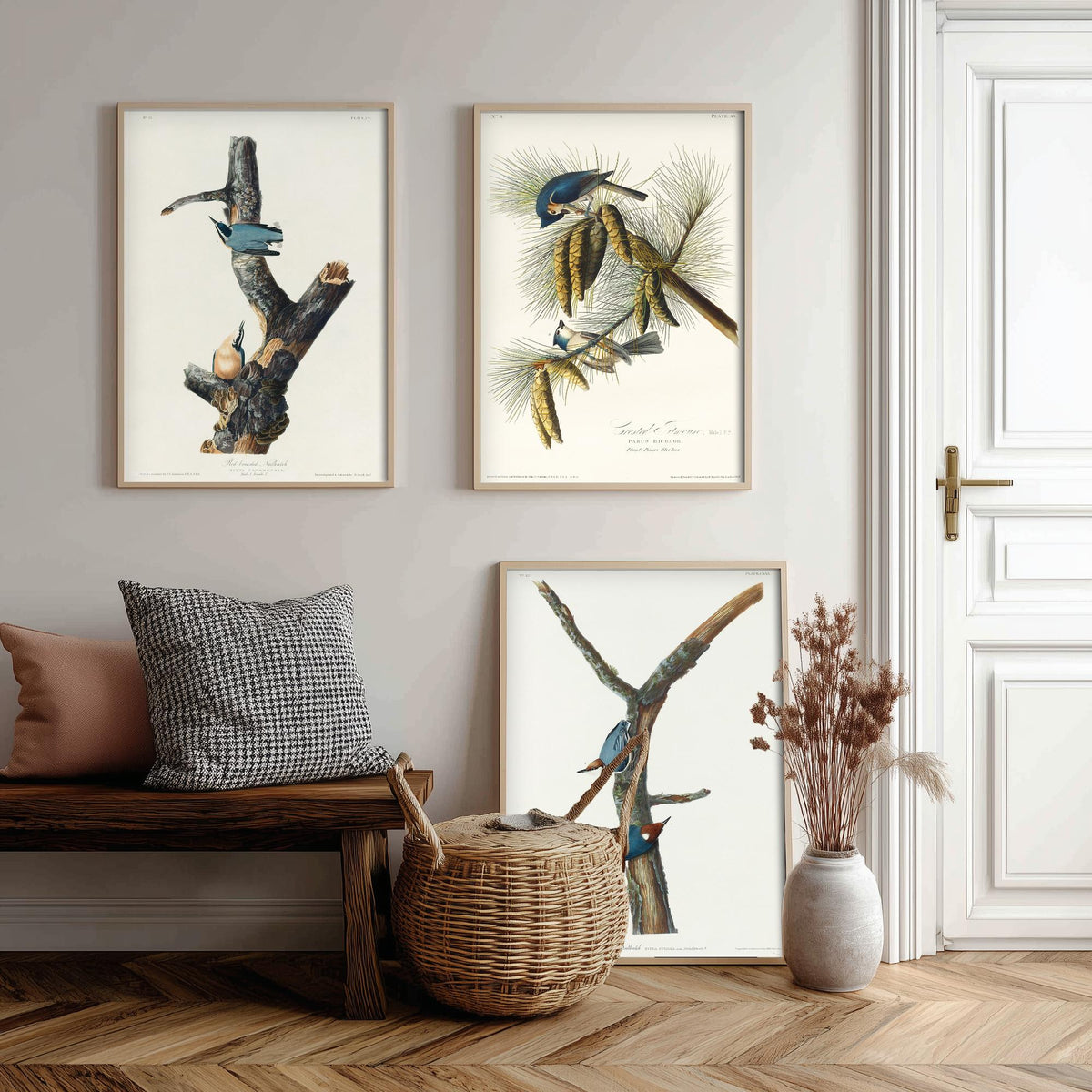 Set of Three John James Audubon Prints - Red-breasted and Brown-headed Nuthatch Crested Titmouse - 3 Bird Paintings Poster Wall Art