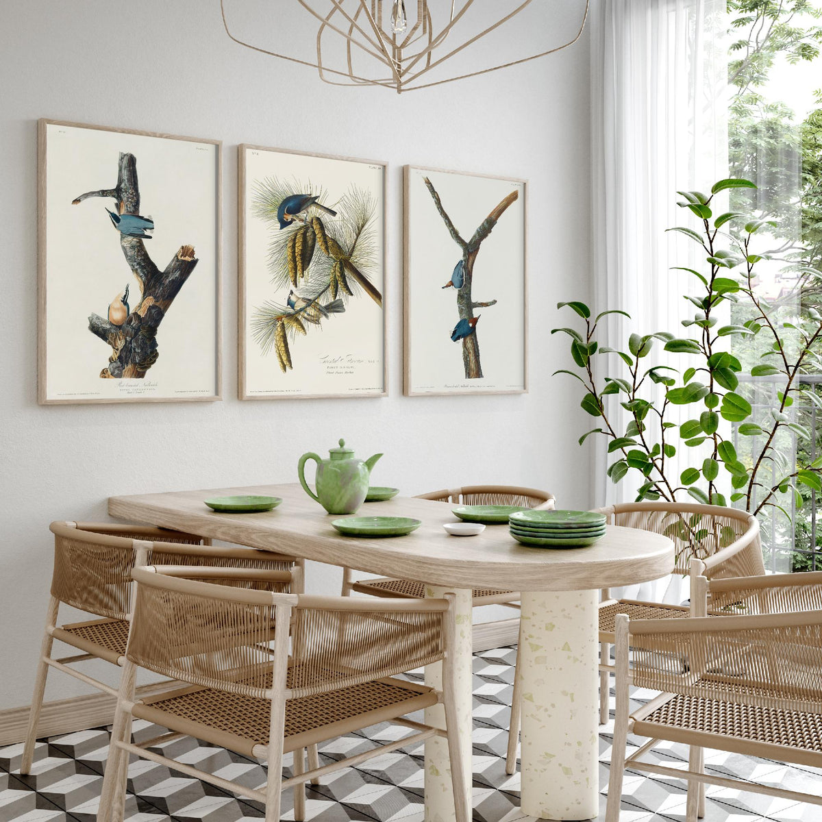 Set of Three John James Audubon Prints - Red-breasted and Brown-headed Nuthatch Crested Titmouse - 3 Bird Paintings Poster Wall Art