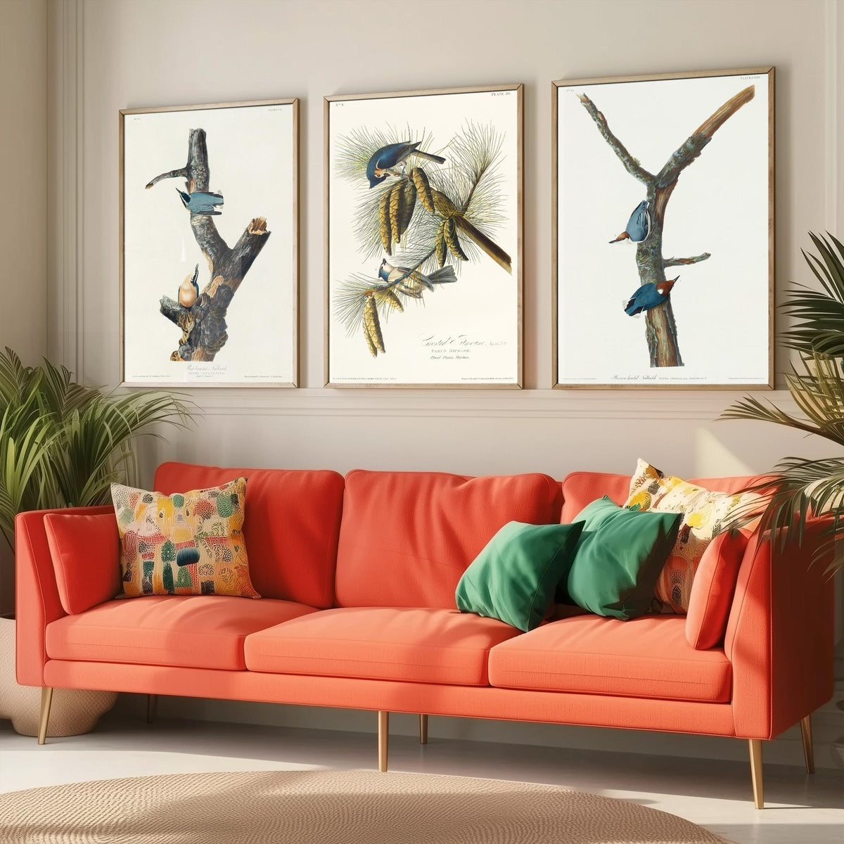 Set of Three John James Audubon Prints - Red-breasted and Brown-headed Nuthatch Crested Titmouse - 3 Bird Paintings Poster Wall Art