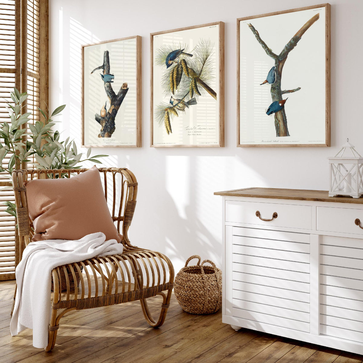 Set of Three John James Audubon Prints - Red-breasted and Brown-headed Nuthatch Crested Titmouse - 3 Bird Paintings Poster Wall Art
