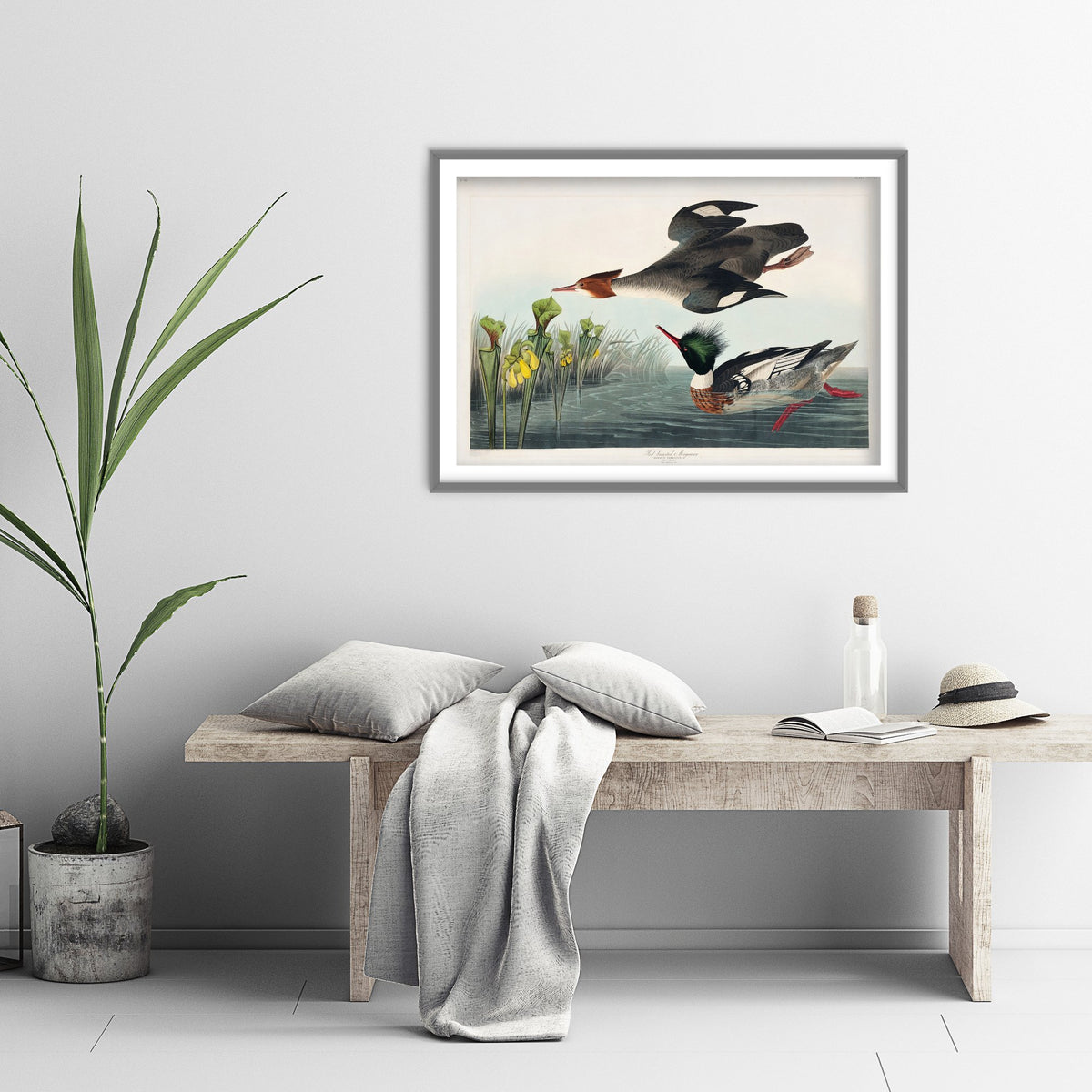 Red-breasted Merganser Art Print - John James Audubon Poster - Birds of America Vintage Illustration