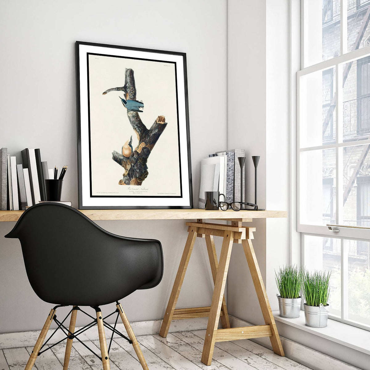 Red-breasted Nuthatch Art Print - John James Audubon Poster - Birds of America Vintage Illustration