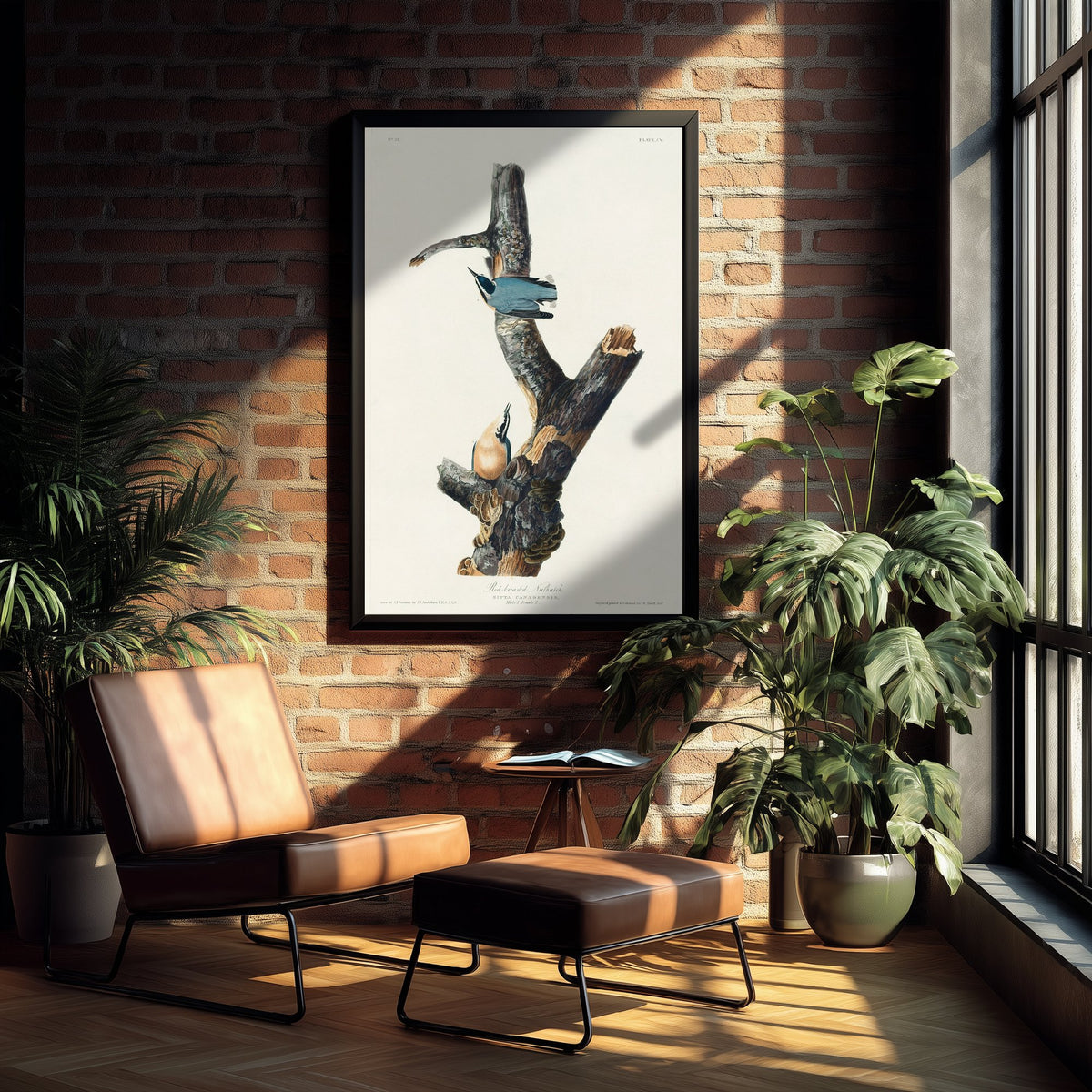 Red-breasted Nuthatch Art Print - John James Audubon Poster - Birds of America Vintage Illustration