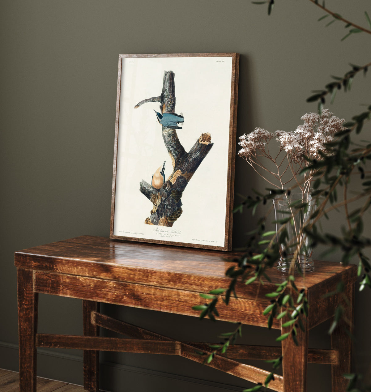 Red-breasted Nuthatch Art Print - John James Audubon Poster - Birds of America Vintage Illustration