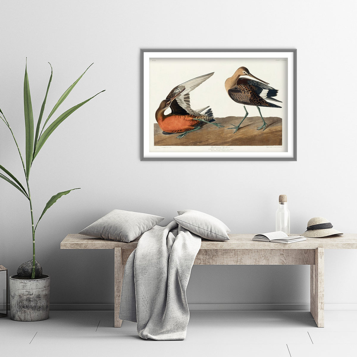 Red Knot Shorebird Art Print - John James Audubon Poster - Birds of America Vintage Illustration