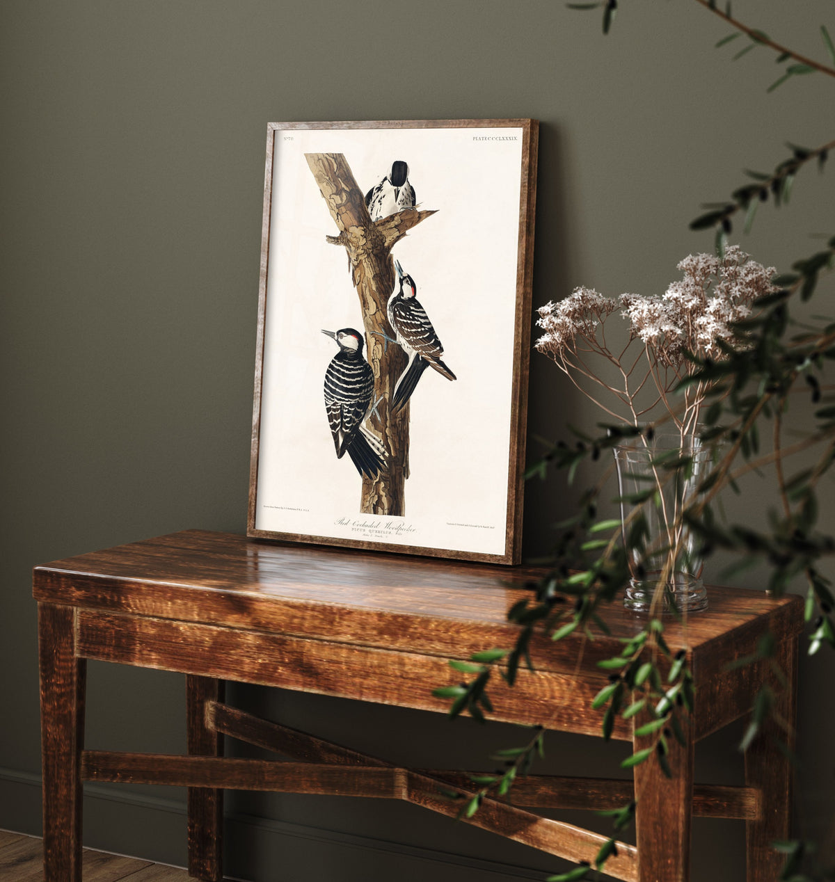 Red-cockaded Woodpecker Art Print - John James Audubon Poster - Birds of America Illustration