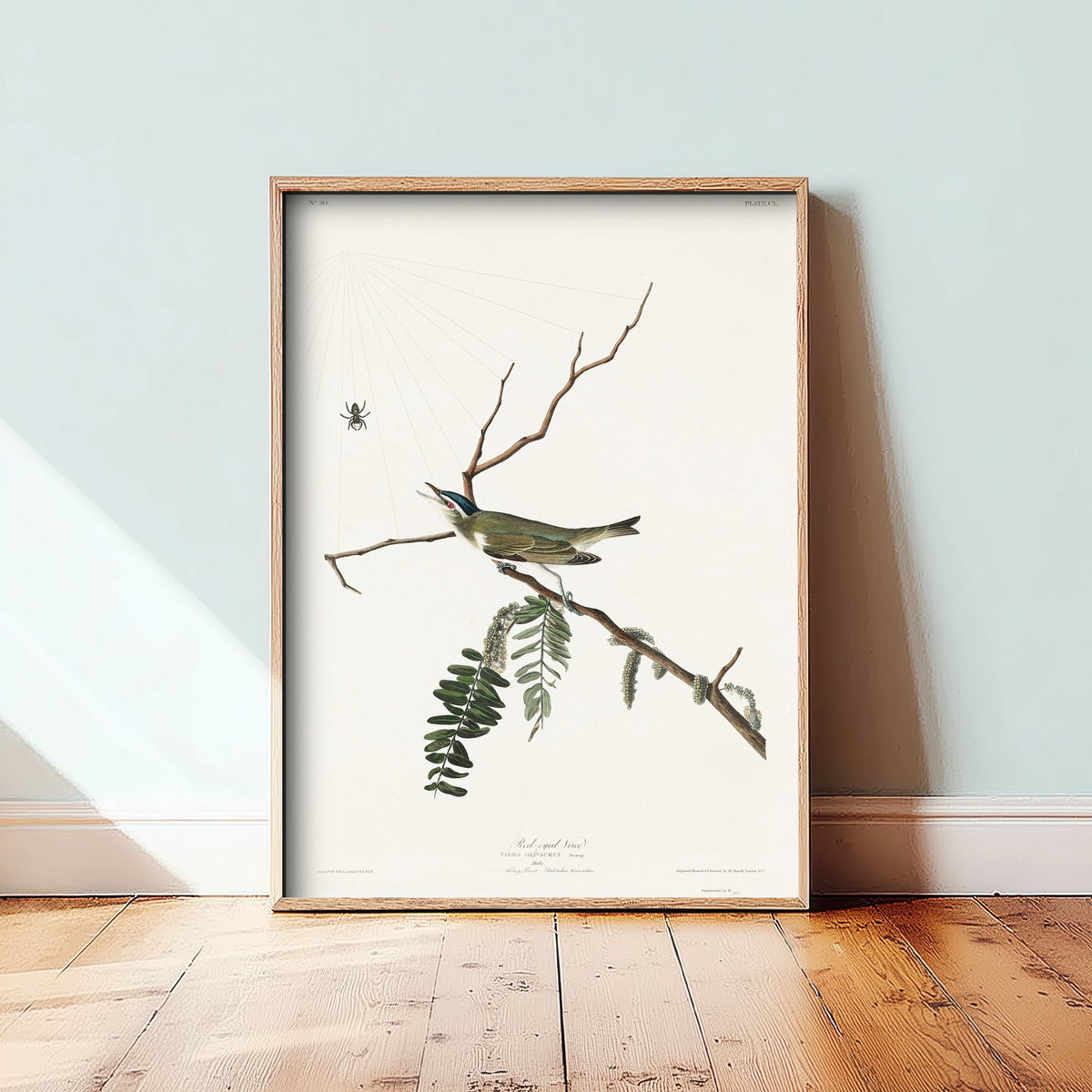 Red-eyed Vireo Art Print - John James Audubon Poster - Birds of America Vintage Illustration