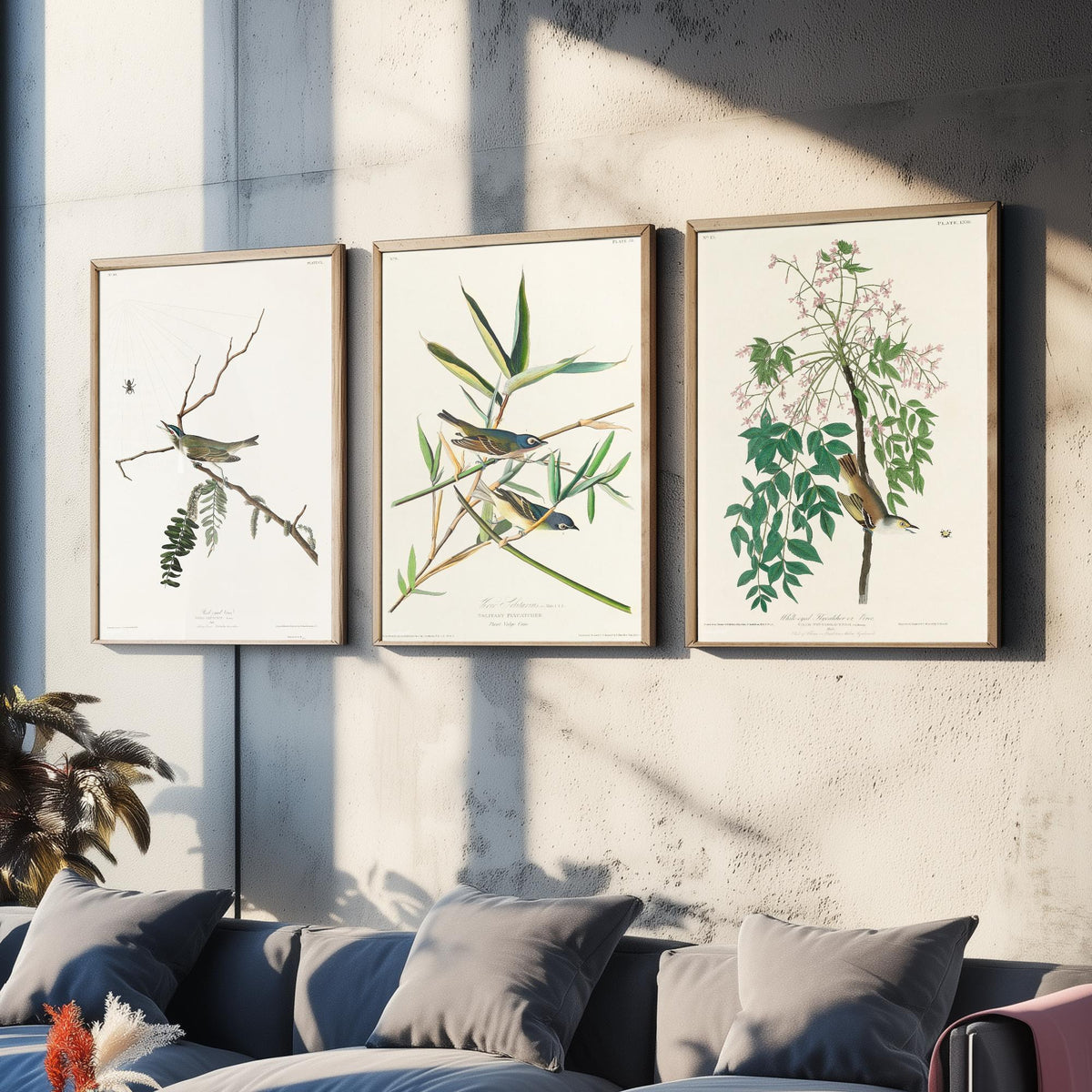 Set of Three John James Audubon Prints - Red-eyed Vireo Solitary Vireo White-eyed Vireo - 3 Bird Paintings Poster Wall Art Gift