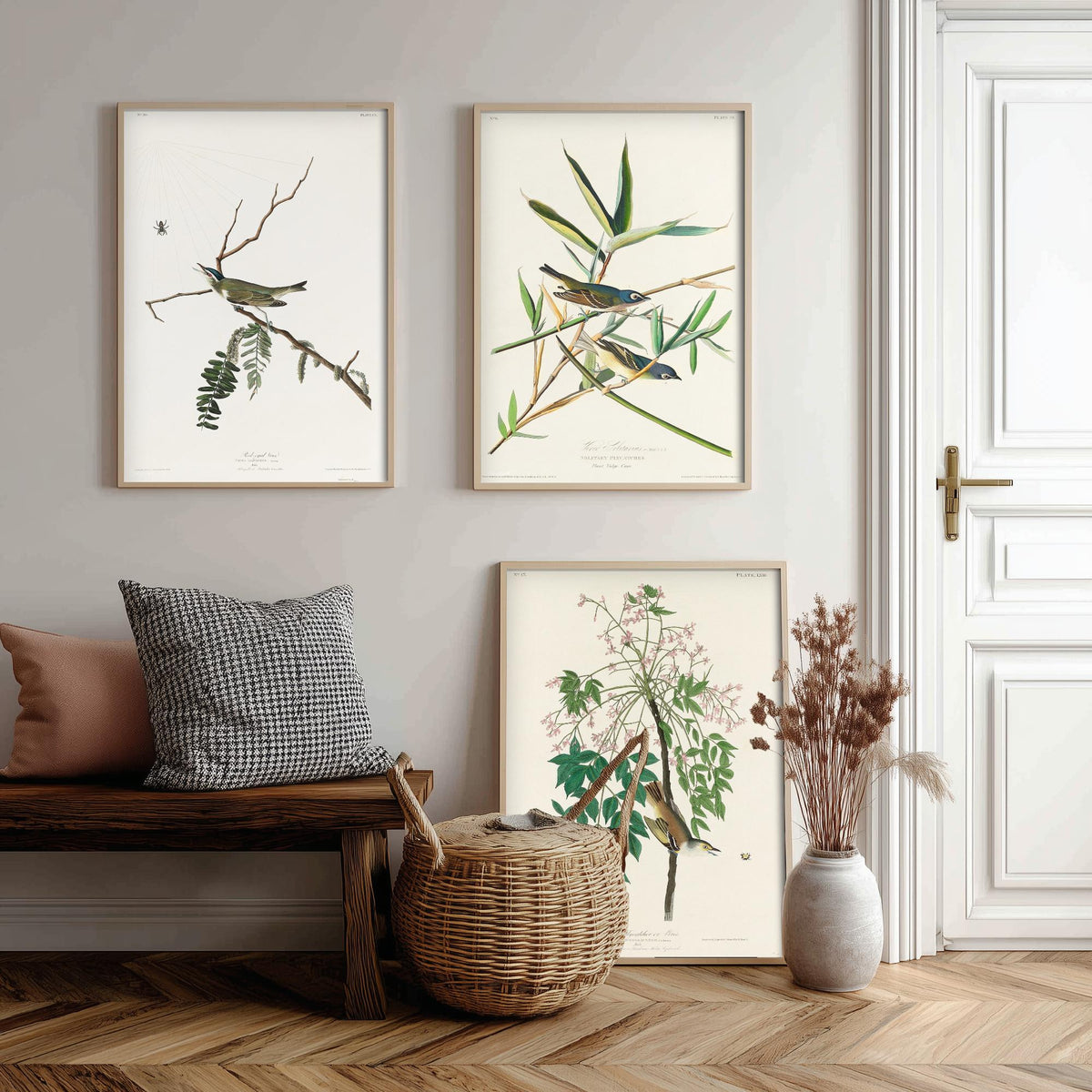 Set of Three John James Audubon Prints - Red-eyed Vireo Solitary Vireo White-eyed Vireo - 3 Bird Paintings Poster Wall Art Gift