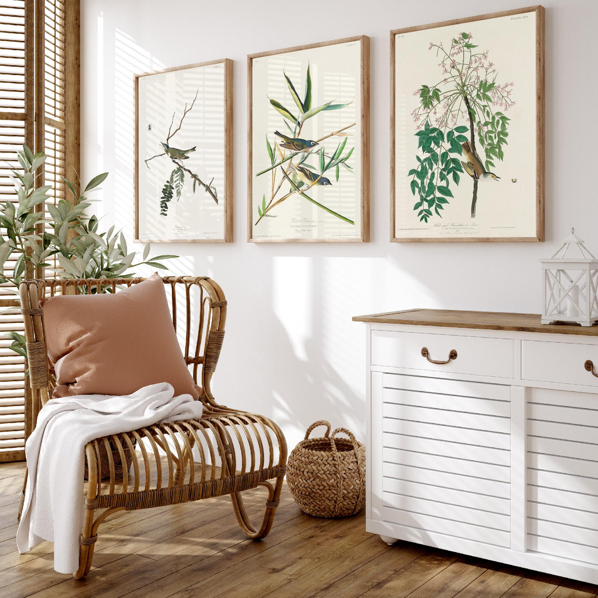 Set of Three John James Audubon Prints - Red-eyed Vireo Solitary Vireo White-eyed Vireo - 3 Bird Paintings Poster Wall Art Gift