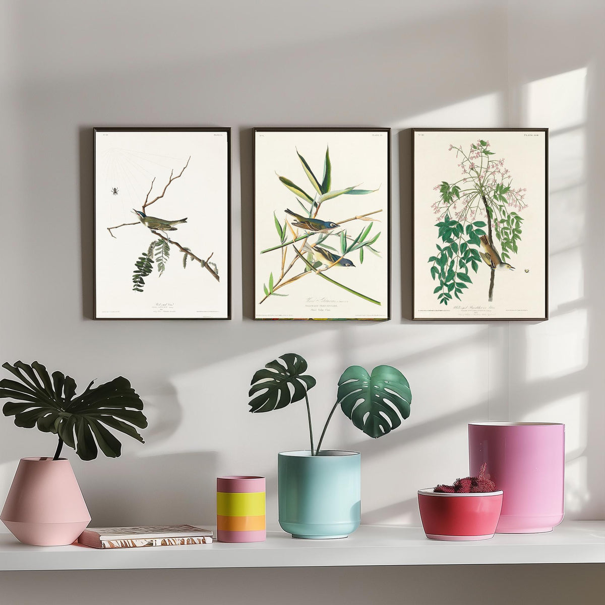 Set of Three John James Audubon Prints - Red-eyed Vireo Solitary Vireo White-eyed Vireo - 3 Bird Paintings Poster Wall Art Gift
