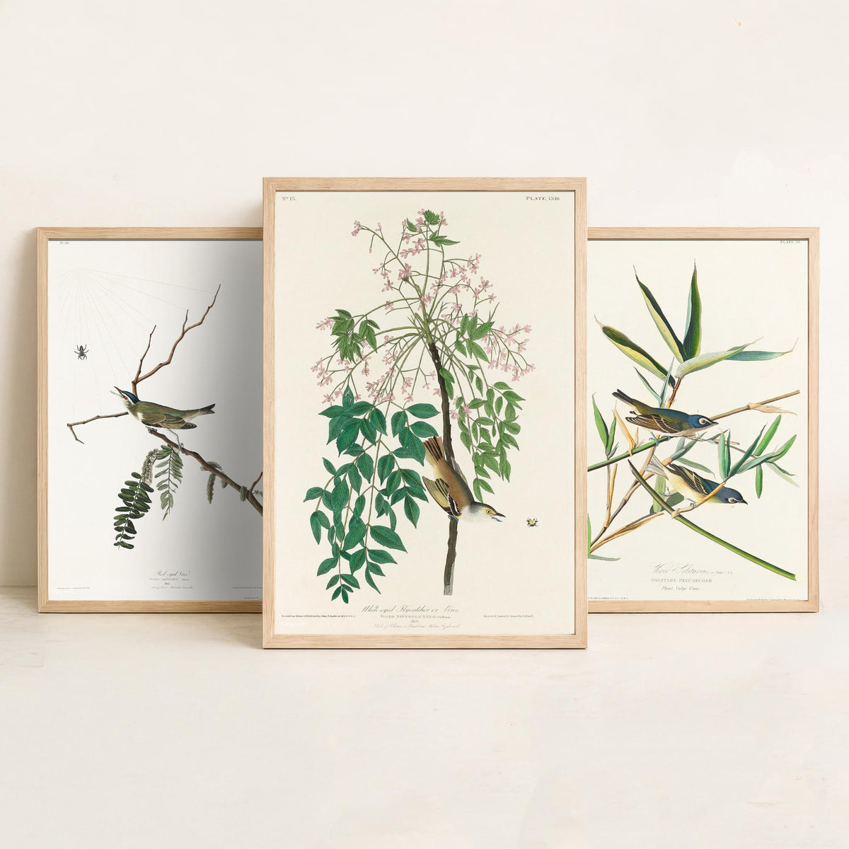 Set of Three John James Audubon Prints - Red-eyed Vireo Solitary Vireo White-eyed Vireo - 3 Bird Paintings Poster Wall Art Gift
