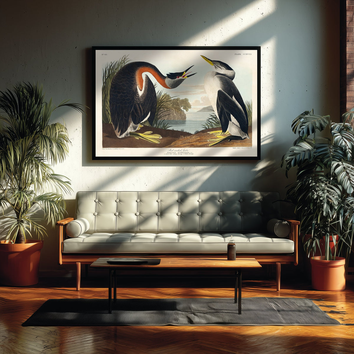 Red-necked Grebe Art Print - John James Audubon Poster - Birds of America Vintage Illustration