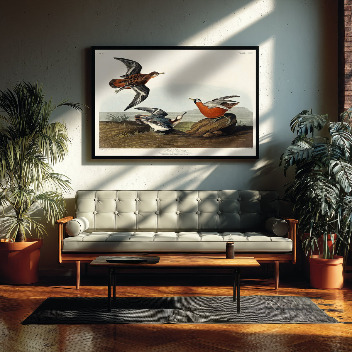 Red Phalarope Art Print - John James Audubon Poster - Birds of America Vintage Illustration